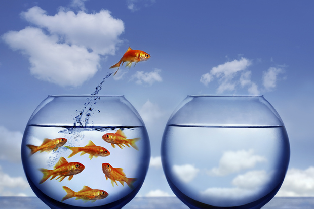 Vượt qua nỗi sợ hãi