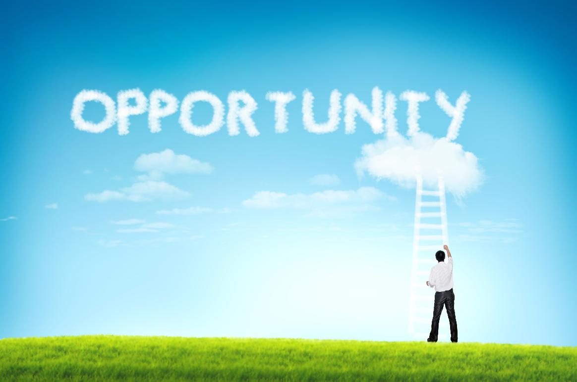 Quyết định xem bạn có chọn sự nghiệp hiện tại hay không