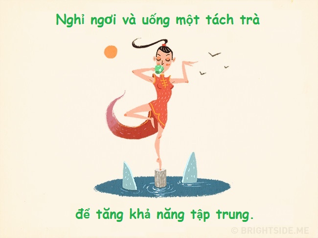 Trí thông minh Trí thông minh