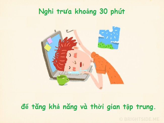 Trí thông minh Trí thông minh