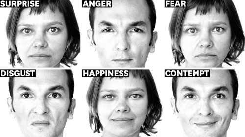 Biểu hiện cảm xúc trên khuôn mặt