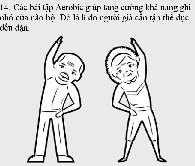 Các bài tập Aerobic tăng cường khả năng ghi nhớ của não bộ.  Các bài tập Aerobic tăng cường khả năng ghi nhớ của não bộ.