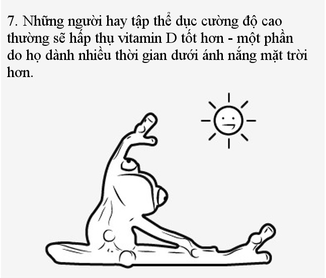 Những người hay tập thể dục cường độ cao thường sẽ hấp thụ vitamin D tốt hơn  Những người hay tập thể dục cường độ cao thường sẽ hấp thụ vitamin D tốt hơn
