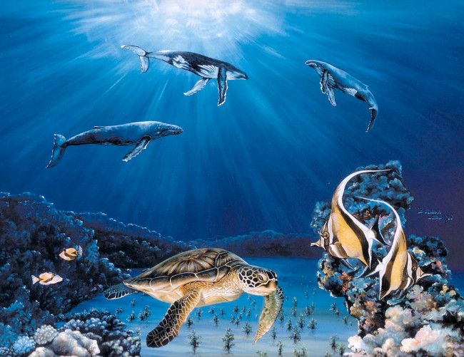 Bạn có biết rằng 99% các loài sinh vật có mặt trên Trái đất sinh sống ở các vùng biển khác nhau, trong đó có rất nhiều loài chưa được biết đến.  Bạn có biết rằng 99% các loài sinh vật có mặt trên Trái đất sinh sống ở các vùng biển khác nhau, trong đó có rất nhiều loài chưa được biết đến.