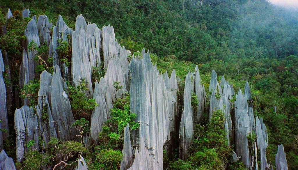 Được hình thành do mưa xói mòn từ khoảng 5 triệu năm trước nũi Api ở công viên Quốc gia Gunung Mulu, Malaysia với 150 chỏm đá nhọn giống như những thanh kiếm tạo nên một quang cảnh thiên nhiên hùng vĩ.
