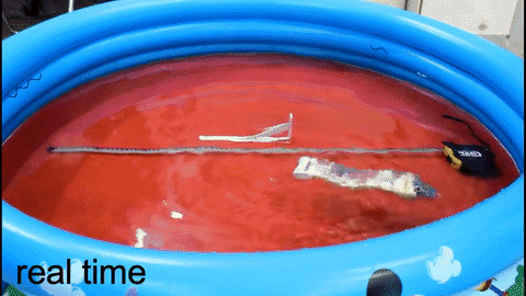 Phiên bản robot chống nước có khả năng bơi 6cm/s.  Phiên bản robot chống nước có khả năng bơi 6cm/s.