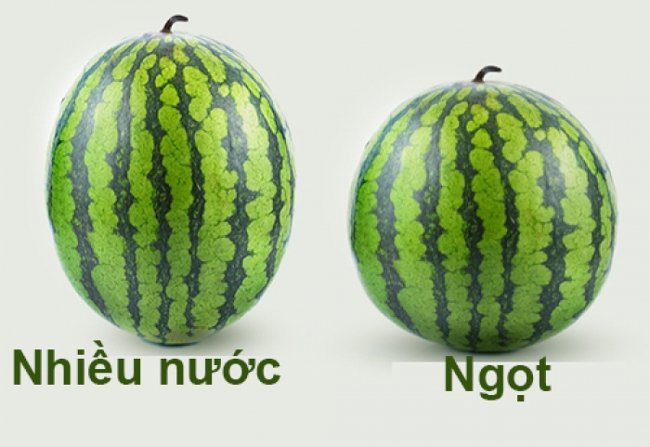 Phân biệt giống dưa hấu