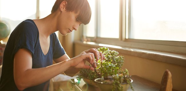 Sử dụng dịch vụ thuê ngoài