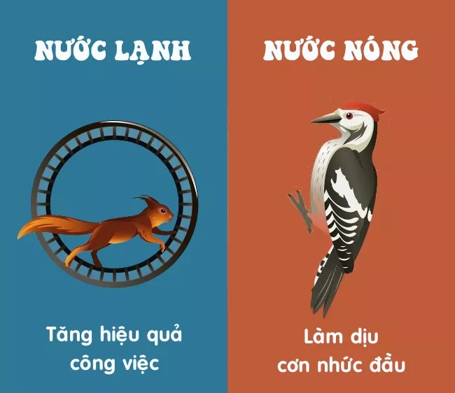 Tắn nước lạnh tăng hiệu quả công việc   Tắn nước lạnh tăng hiệu quả công việc