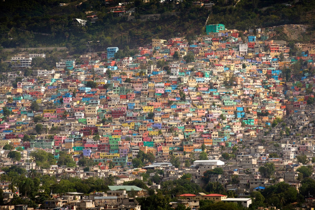 Trái ngược với Suriname, Haiti hầu như không còn rừng do nạn chặt phá rừng lấy gỗ.