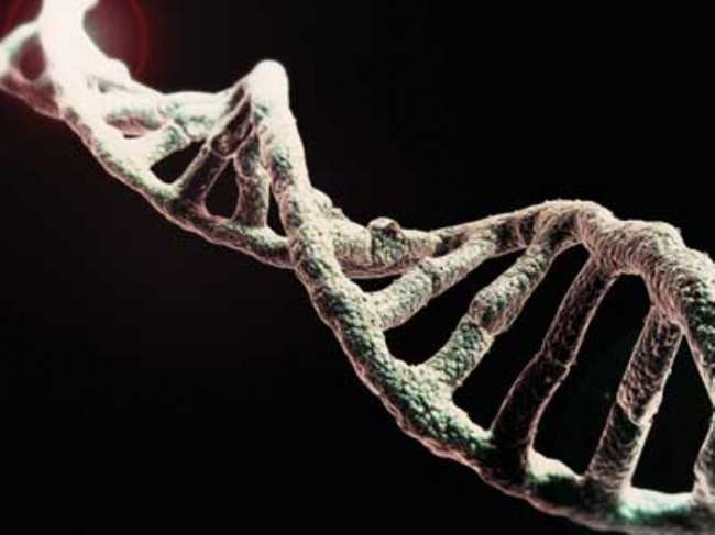 DNA 