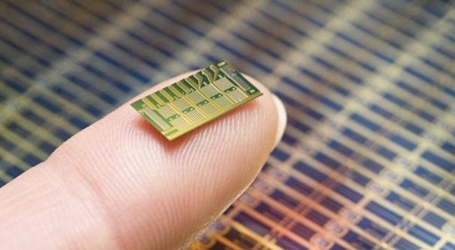 Microchip trên đầu ngón tay