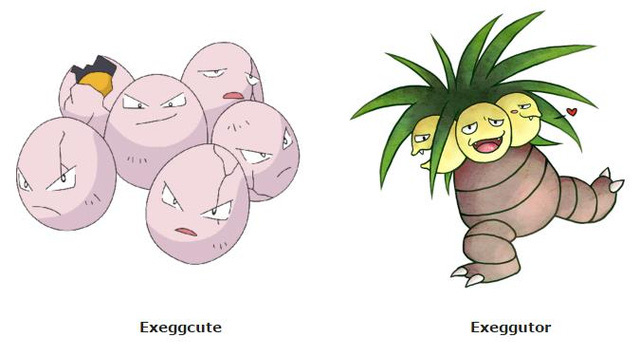 Bạn không nên bỏ qua Top 5 Pokemon dễ bắt nhưng không hề tầm thường
