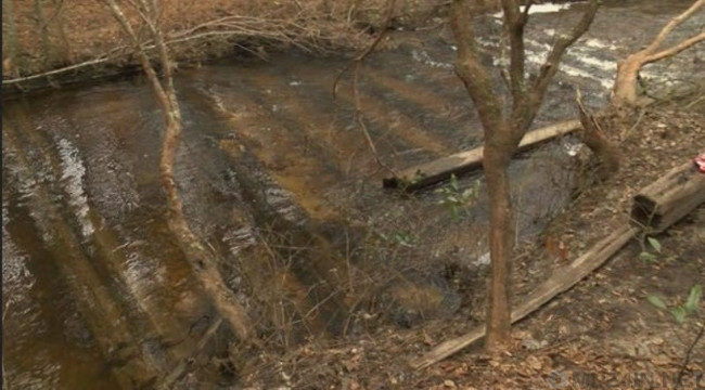 Sau trận lụt lịch sử ở phía nam Carolina, Mỹ, các nhà khảo cổ học phát hiện một nhà máy gỗ hàng trăm năm tuổi bên dưới dòng sông.