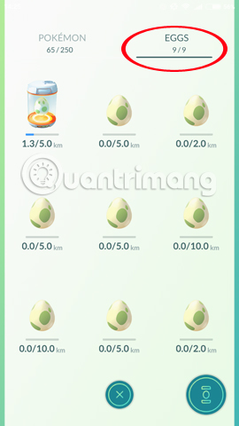 Làm sao sở hữu trứng ấp 10 km trong Pokemon GO?