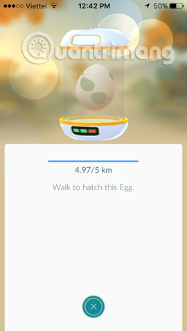 trứng 10 km Pokemon