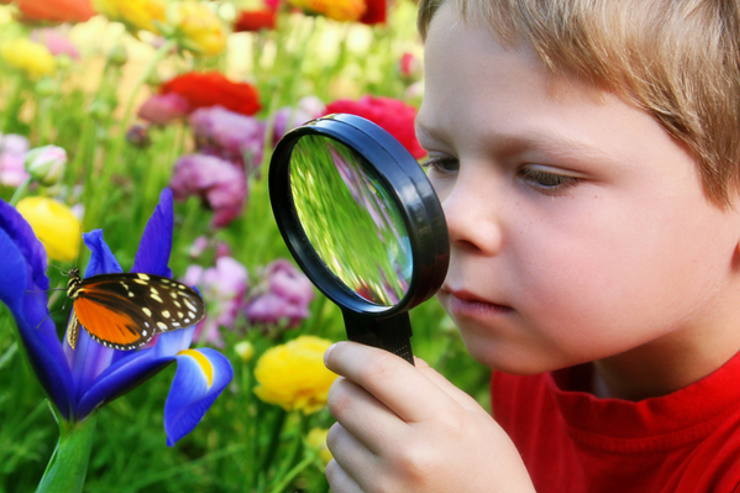 Trí tò mò Trí tò mò