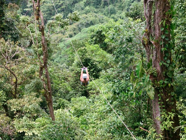 Trượt Zipline từ trên rừng mưa tươi tốt của Costa Rica
