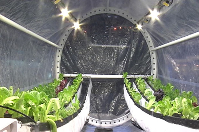 Những lồng tự cung cấp thực phẩm này là bắt buộc đối với các chuyến du hành dài 