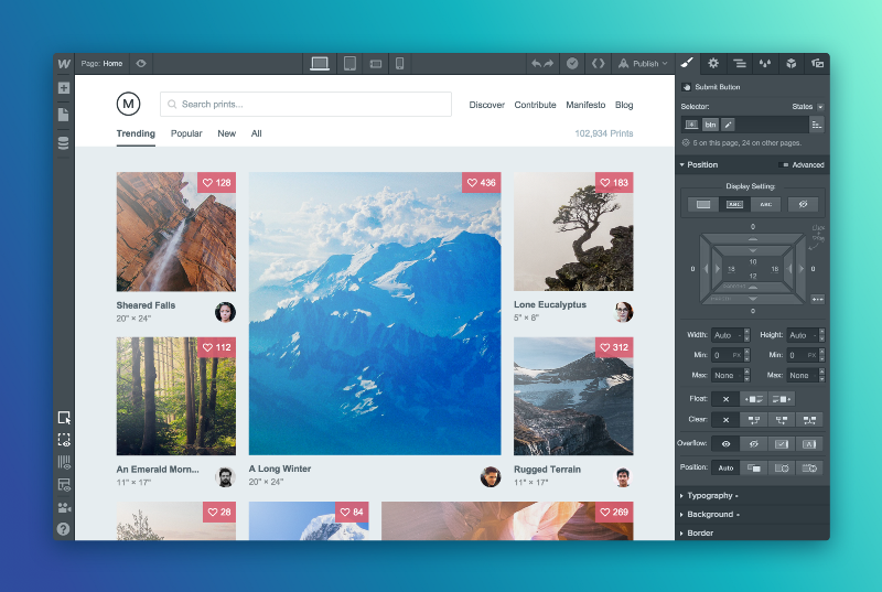 Webflow CMS Webflow CMS