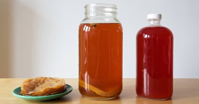 trà Kombucha trà Kombucha