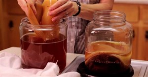 Những điều cần biết về "trà Kombucha" - trà lên men