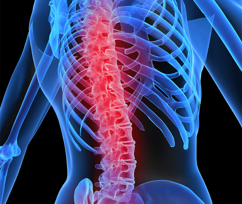 Thuốc Rapamycin hứa hẹn sẽ phát huy công dụng y học kép trong tương lai Thuốc Rapamycin hứa hẹn sẽ phát huy công dụng y học kép trong tương lai