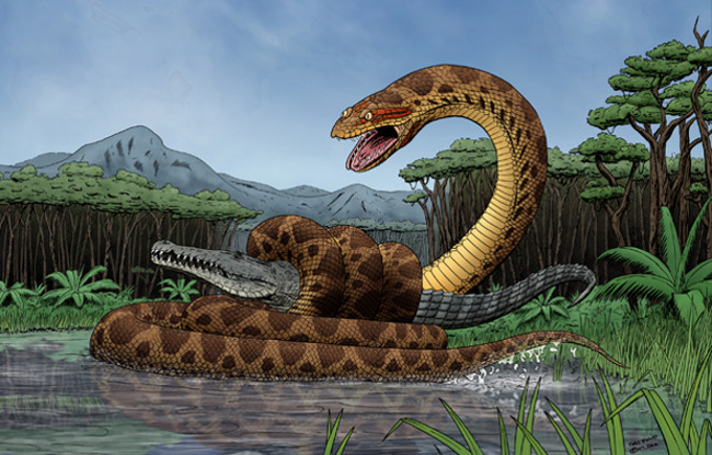 Titanoboa có thể "chén ngọt" cá sấu khổng lồ. Titanoboa có thể "chén ngọt" cá sấu khổng lồ.