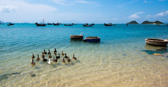 Đảo Điệp Sơn Đảo Điệp Sơn