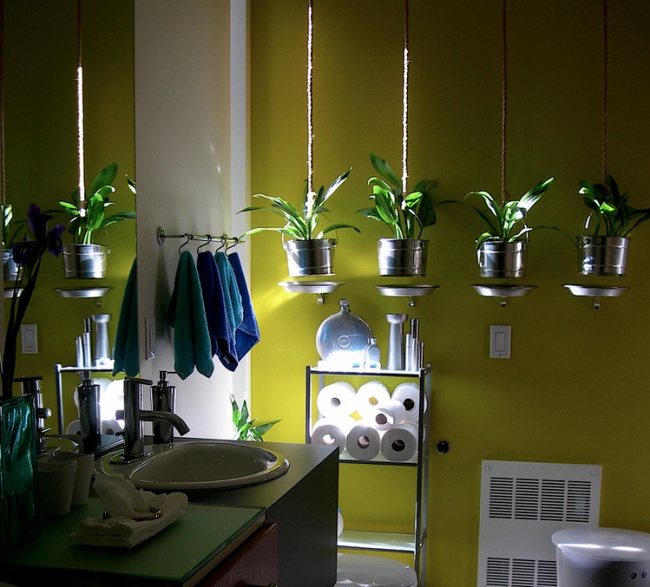 Trồng thêm vài cây xanh nhỏ