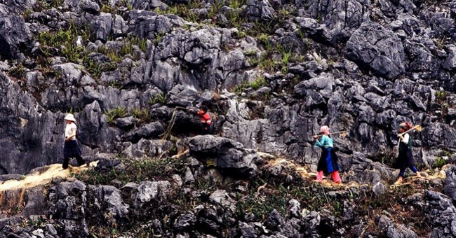 Cao nguyên đá Đồng Văn Cao nguyên đá Đồng Văn