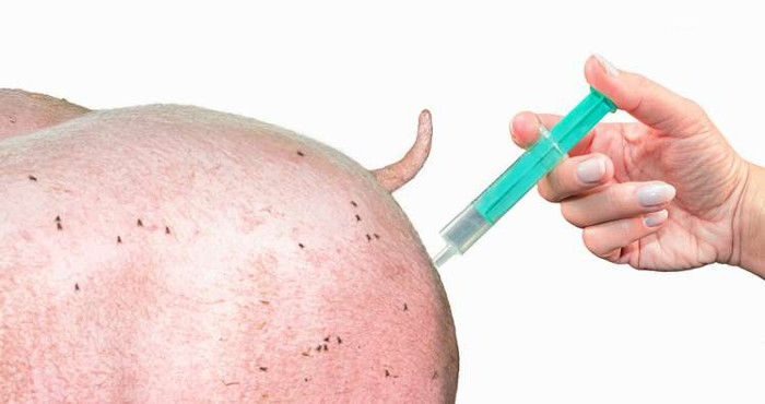 Xúc xích được chế biến từ thịt công nghiệp