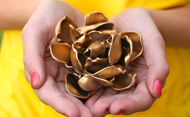 Bông hoa hồng màu vàng