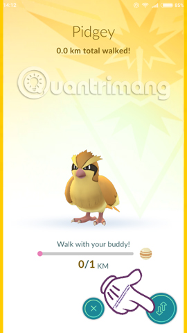 Đi dạo cùng Pokemon với tính năng Buddy Pokemon