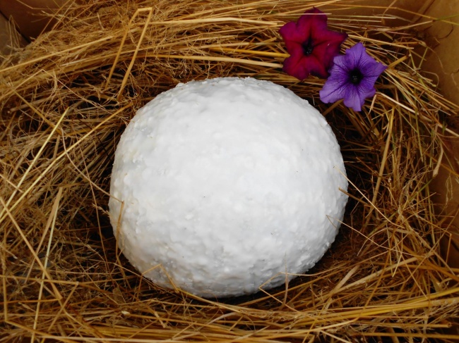 Lưu trữ và bảo quản