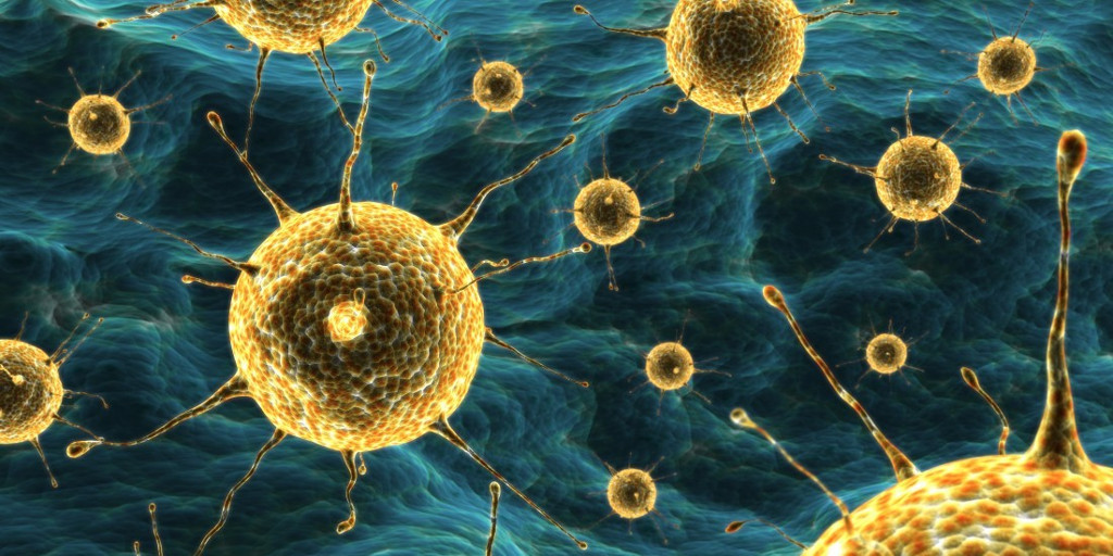 Vi khuẩn kháng kháng sinh Vi khuẩn kháng kháng sinh