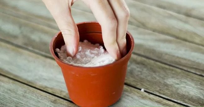 Cho xốp vào chậu hoa Cho xốp vào chậu hoa