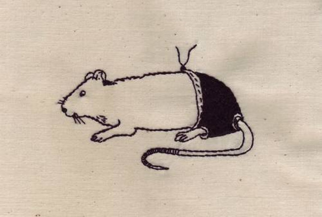 Ig Nobel Sinh sản: giới tính của chuột thay đổi khi được... mặc quần  Ig Nobel Sinh sản: giới tính của chuột thay đổi khi được... mặc quần