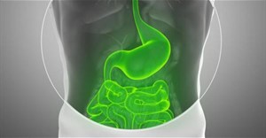 Phát hiện ra nấm mới chung tay với vi khuẩn gây ra bệnh Crohn