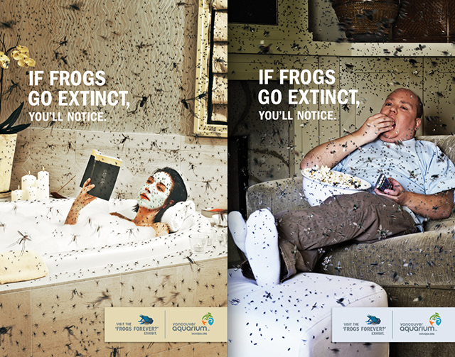 Ếch tuyệt chủng đồng nghĩa với việc số lượng côn trùng có thể gia tăng theo cấp số nhân.   Ếch tuyệt chủng đồng nghĩa với việc số lượng côn trùng có thể gia tăng theo cấp số nhân.