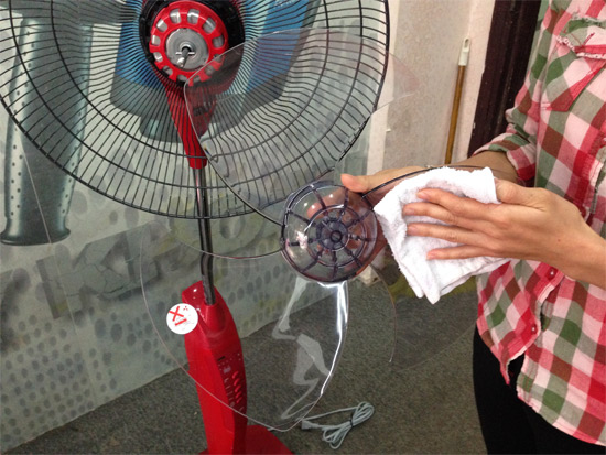 Bảo dưỡng và vệ sinh quạt cây