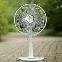Bảo dưỡng và vệ sinh quạt cây đúng cách