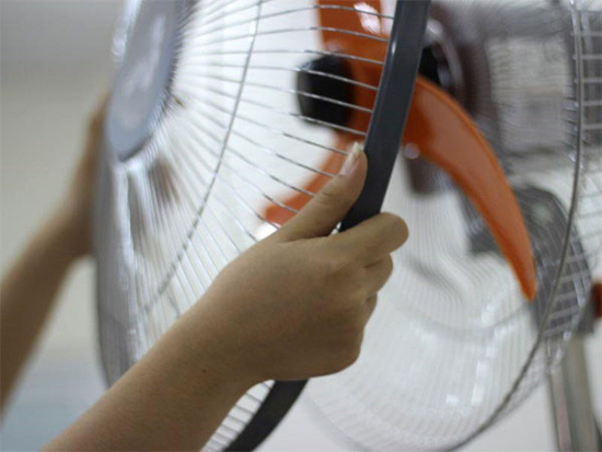 Bảo dưỡng và vệ sinh quạt cây