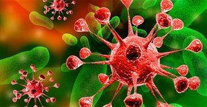 Cảnh báo: Phát hiện virus gia cầm mới đa lây nhiễm MRSA