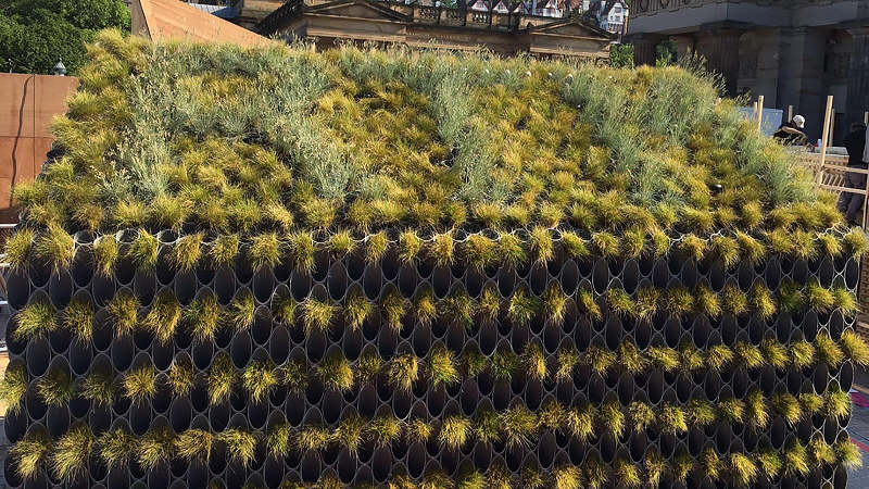 Ngoài ra, căn nhà còn tích hợp thêm một hệ thống đèn Led môi trường và nó sẽ rực sáng vào ban đêm,