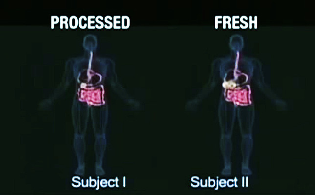 Trong nghiên cứu này, mì ramen được so sánh với mì tươi. Bạn có thể dễ dàng nhận thấy sự khác biệt trong quá trình tiêu hóa ở ảnh bên dưới.