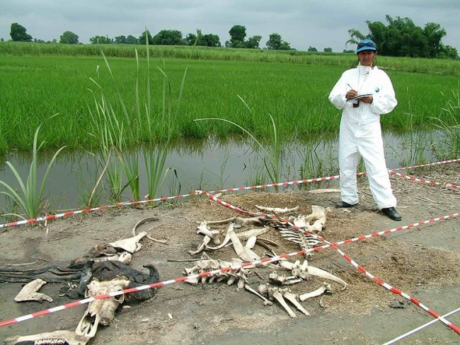 The body farm