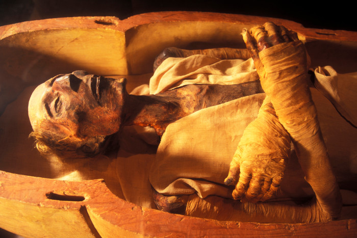 Pharaoh Ramesses II