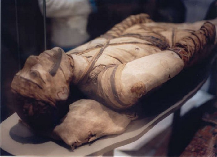 Antibiotics in mummies