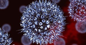 Cảnh báo: Dòng virus viêm dạ dày nguy hiểm tại Úc có thể lây lan thế giới 2-7 tháng tới